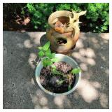 Terra Cotta , Flower Pot