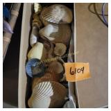 Shells