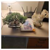 Waterless Plants