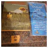 Leap Pad Book,  Leap Frog,