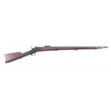 Remington Rollingblock 1879 43