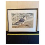 Framed Watercolor of Seagull by Thelma Frame