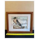 Framed Art Print Featuring a Bird of Prey