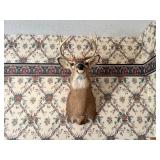 10 Point Buck Wall Mount