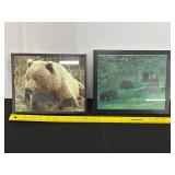 Framed Bear Wildlife Photography Prints
