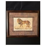 'Lion du Senegal' Framed Print