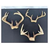 Three Deer Antler Mounts