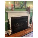 Decorative Spiral Topiaries