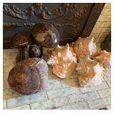 group lot ceramic large mushrooms, a real coconut,