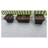3 large plastic planters, filled with potting