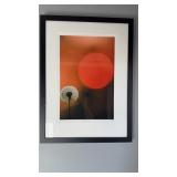 Framed artist proof print, dandelion in the