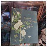 Rare Book "Through Woodland and Meadow"