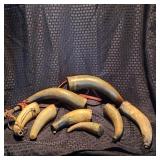 Group of 8 Antique Powder Horns