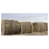 66 Oat Bales *EACH* X 66