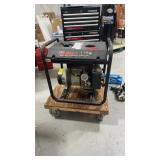 Briggs and Stratton Gen Power 10.0 5000 watt