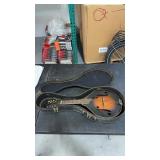 Flat back mandolin with carrying case