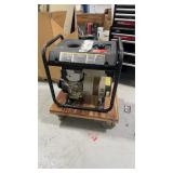 Briggs and Stratton Gen Power 10.0 5000 watt