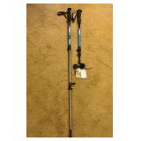 Pair of Telescoping Walking Sticks