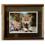 Matted and Framed Wildlife Art Print