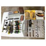 Screw Driver and Bit Assortment