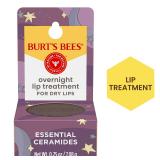 3X Burt's Bees Overnight Lip Treatment AZ54