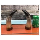 Polished horn decor