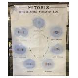 Vintage Science Poster 36x48