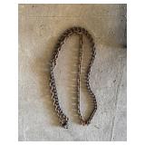 Chain #7