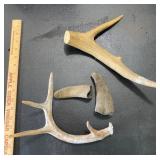 Antlers and Horns Antlers and Horns