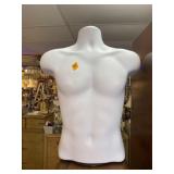 Torso Form