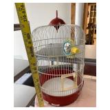 Bird Cage