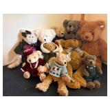 Bear Lot
