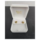 18kt Gold Earrings