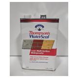 Thompson's Water Seal Clear 1 Gallon Can