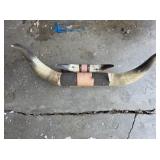 Bull Horns