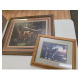 Framed Nature Pictures