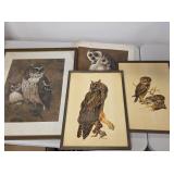 Framed Owl Prints