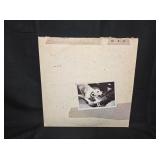 Fleetwood Mac Vinyl Record