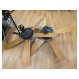 Ceiling Fans (2)