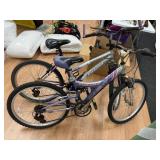 Mountain Bikes (2)