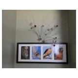 Bird Pictures & Dï¿½cor