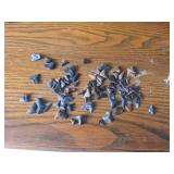 Sharks Tooth Collection