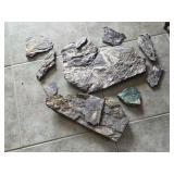 Fossil Rocks