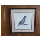 Parrot Wall Art