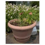 Large Planter w/ Flowers