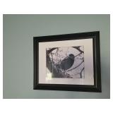 Bird Framed Wall Art
