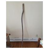 Large Walking Stick