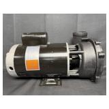 Pool/Spa Pump