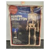 New Human Skeleton assembly kit w/stand