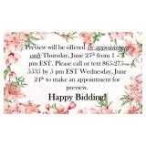 Preview Info